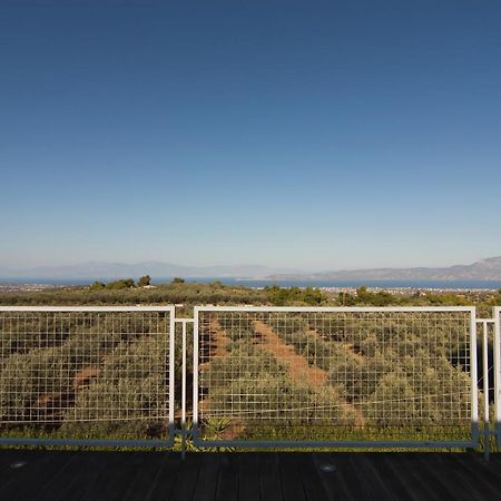 Country Villa Peloponnese With Tennis Court And Pool Zevgolateíon Dış mekan fotoğraf
