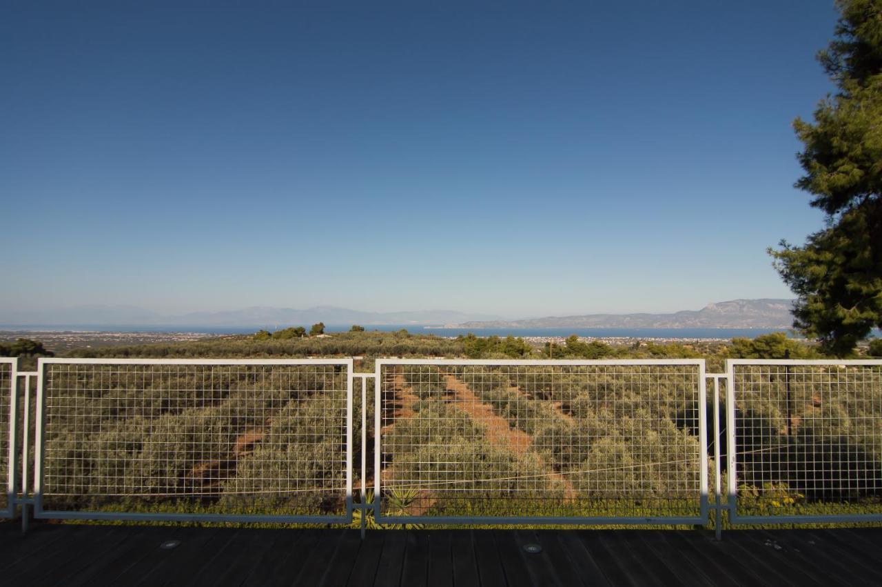 Country Villa Peloponnese With Tennis Court And Pool Zevgolateíon Dış mekan fotoğraf